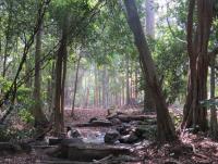 post-12069-0-81073500-1388059517_thumb.j