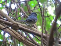 post-12069-0-87719200-1385901795_thumb.j