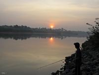 post-12069-0-89002400-1386996264_thumb.j