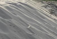 post-12069-0-94508000-1387510663_thumb.j