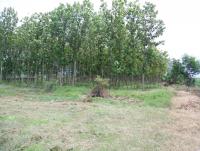 post-137315-0-17982500-1388385338_thumb.