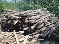 post-137315-0-25134200-1388386243_thumb.