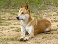 post-140056-0-64268100-1386405389_thumb.