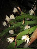 post-146250-0-00496100-1388025756_thumb.