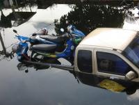 post-15216-0-49087100-1388475279_thumb.j