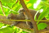 post-154100-0-54651000-1388342081_thumb.