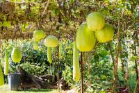 post-171103-0-40302000-1386560919_thumb.