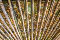 post-171103-0-77459300-1387523369_thumb.