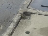 post-17753-0-25165400-1387862019_thumb.j