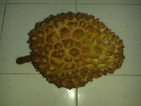 post-17753-0-56260500-1387449857_thumb.j