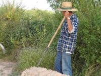 post-185776-0-02958900-1387354262_thumb.