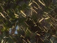 post-185776-0-07309400-1387700884_thumb.