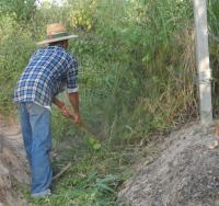 post-185776-0-14608500-1387354136_thumb.