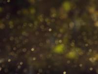 post-185776-0-15802100-1387700798_thumb.