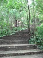 post-185776-0-53667100-1387365479_thumb.