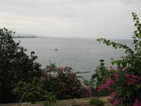 post-185776-0-67130800-1387025290_thumb.