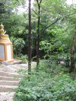 post-185776-0-74074600-1387365292_thumb.