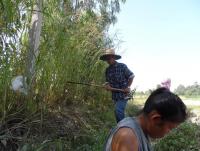 post-185776-0-76349100-1387353844_thumb.