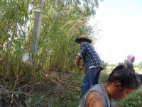 post-185776-0-81526800-1387353984_thumb.