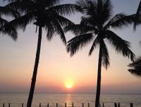 post-82234-0-82887700-1387709107_thumb.j