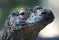 post-9891-0-54093300-1386157372_thumb.jp