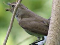 post-12069-0-24758800-1417766644_thumb.j