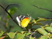 post-12069-0-26699200-1419462672_thumb.j