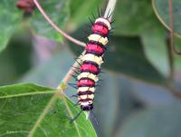 post-12069-0-50941400-1419766019_thumb.j