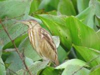 post-12069-0-56123000-1418254116_thumb.j