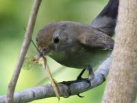 post-12069-0-82642700-1417766600_thumb.j