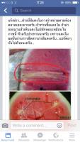 post-130171-14197012474859_thumb.jpg