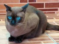 post-146250-0-68158100-1418275567_thumb.