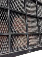 post-147580-0-68250500-1419590600_thumb.