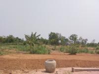 post-148604-0-46760200-1418925604_thumb.