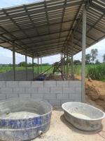 post-148604-0-63341200-1418926242_thumb.