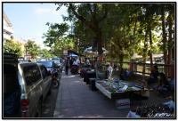 post-153732-0-06115500-1417946907_thumb.