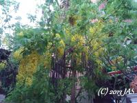 post-153732-0-29048600-1418892243_thumb.