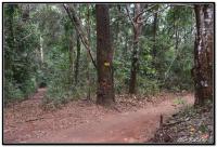 post-153732-0-42668600-1418565053_thumb.