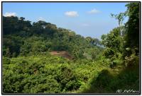 post-153732-0-56562200-1418565100_thumb.