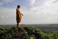 post-172429-0-82729700-1417764209_thumb.