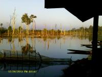 post-174911-0-16202500-1420010413_thumb.