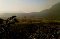 post-174911-0-71852100-1420009566_thumb.