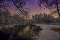 post-175700-0-64084300-1418272817_thumb.