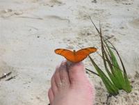 post-185110-0-38409900-1417778068_thumb.