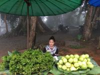 post-190508-0-19090600-1417583008_thumb.