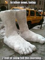 post-209316-0-78119500-1417678583_thumb.