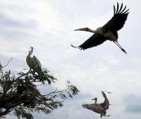 post-21581-0-37027500-1417928121_thumb.j