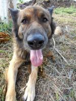 post-215904-0-02566200-1419415754_thumb.