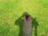 post-222439-0-76094700-1418439328_thumb.
