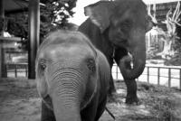 post-228826-0-08255000-1419133923_thumb.